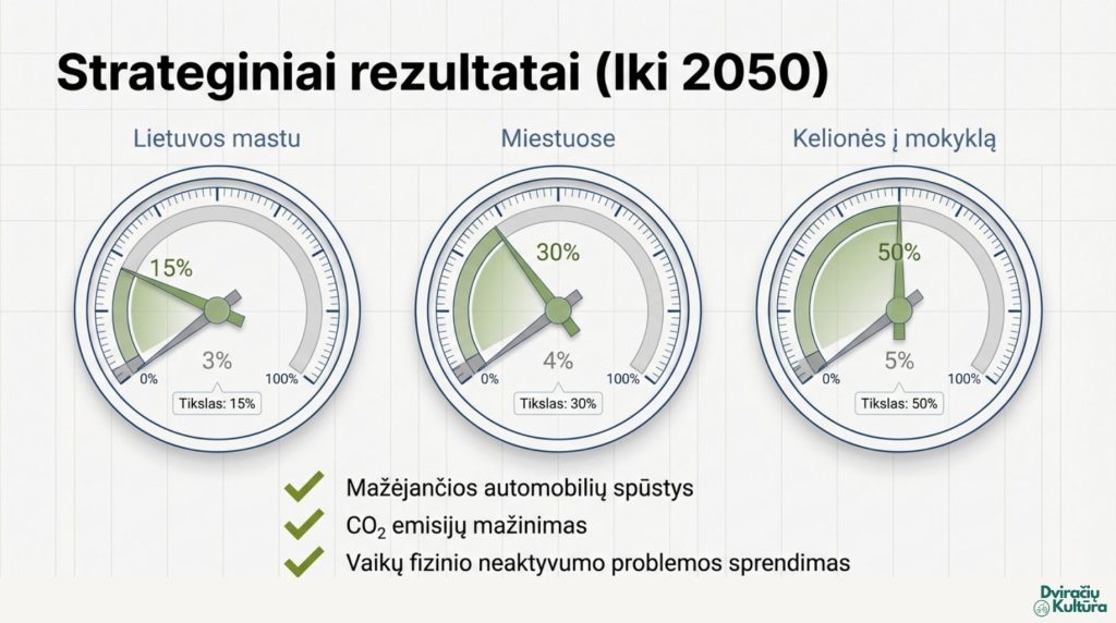 Ilgalaikė vizija